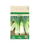 VibeX Leek KAMPUS Seeds-500 Seeds