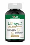 Hiral Health's Livney Pure Tablets: Detox Liver & Kidney - Flush Toxins, Boost Energy | Break Up & Dissolve Kidney Stones | Regulates Bile - 30 Tablets