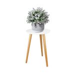 Stand Table For Plants