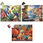 3 Pack 48 Piece Jigsaw Puzzle for S
