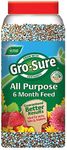 Gro-Sure 6 Month Slow Release Plant