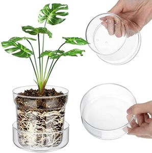 Baderke 2 Pieces Anti Slip Clear Glass Plant Pots with Drainage Holes See The Roots Growth Vase for Plant Nursery Glass Planter for Indoor Plant Modern with Terrarium Saucer (4 Inch)