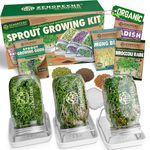 zengreens® Organic sprout jar set incl. sprout seeds, sprout tray & video course - set of 1, 2 or 3 - sprout jar set - sprout glass - sprout tray - cress tray - microgreens (Set of 3)