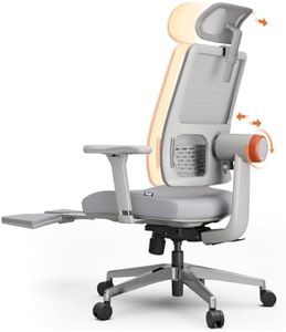 DROGO Ergonomic Office Chair for Work from Home, High Back Computer Chair with Adaptive Lumbar Support, 4D Armrest, Footrest, Recline, Adjustable Height & Headrest, Mesh Chair for Office (Pro Grey)