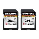 Gigastone 256GB 2-Pack SD Card A2 V60 SDXC Memory Card High Speed 4K Ultra HD UHD Video Compatible with Canon Nikon Sony Pentax Kodak Olympus Panasonic Digital Camera, with 2 Mini Cases