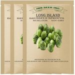 Brussels Sprouts Seeds: Long Island (Approx. 1500 Seeds) 3 Packs Non GMO Heirloom