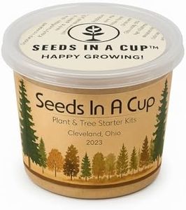 Olive Tree Seed Starter Grow Kit - Easy to Use | Seed in A Cup