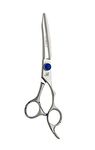 SHEARSDIRECT 440C Japanese Hitachi Stainless Dry Cutting Shear, 5-Ounce