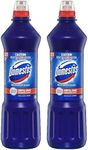 Domesto Disinfectant Regular Bleach