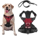 Tampa Bay Custom Dog Harness,Tampa 