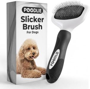 Poodle Pet