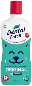 Dental Fre