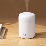 Personal Humidifier For Plane