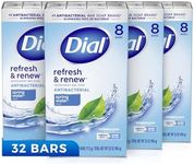 Dial Antibacterial Bar Soap, Spring