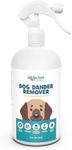 YourHealthyHome Dog Dander Remover & Allergy Relief Spray|All Natural Effective Treatment for Dog Allergies|Vet Recommend, Cruelty Free & Made in USA (2 Pack)