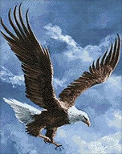 Diamond Painting kit Wizardi Sky Conqueror 18.9x14.9 in WD2346