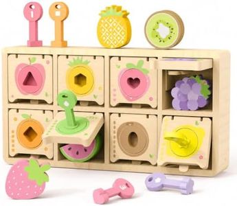 Montessori Toys for 2 Year Old|Wood Lock and Key Toddler Shape Sorter Toys