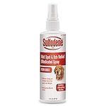 Sulfodene Medicated Hot Spot & Itch