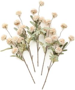 Floroom 5p