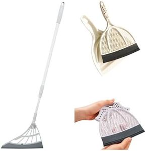 Broombi with Brush & Dustpan and Mini Pet Hair Remover