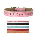 Leather Dog Collars Personalised Dog Collar Custom Collars for Pets Cat Puppy Dogs Blue Black Pink Red and 4 Sizes XS S M L (Pink XS)