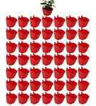 CAPPL Standard Vertical Garden Wall Hanging Pot, Red, 50 Pieces