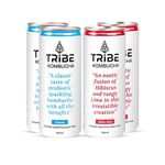 Tribe Kombucha Naturally Sparkling Probiotic Super Drink| Secret Recipes with Herbs, Spices, Hibiscus & Lemon | Gut Friendly|Gluten free|Antioxidant and Hydration | 250ML (Classic and Hibiscus, 12)