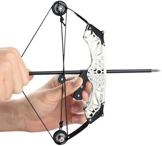 Compound Bow Archery Set Professional Competition Professional Training Outdoor Adventure Black Hexagonal Large Style