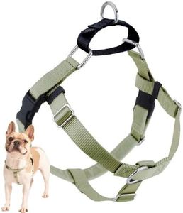 2 Hounds Design Freedom No Pull Dog Harness | Comfortable Control for Easy Walking | Adjustable Dog Harness | Small, Medium & Large Dogs | Made in USA | Solid Colors | 1" XXL Tan