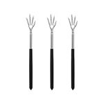 NEOPOO Back Scratcher, 3 Pieces Eagle Claw Backscratchers for Women Men and Adults Scratching Itch and Others (3 Pieces)