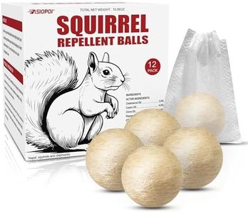 Squirrel R