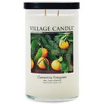 Village Candle Clementine Evergreen, Large Tumbler Scented Candle, 19 oz, White