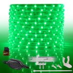 WYZworks 288LEDs, 25ft LED Green Outside Rope Light, Connectable Outdoor ETL Certified Permanent Waterproof Accent Exterior Lighting, Flexible Clear PVC Shell, Holiday, Backyard Patio Palm Tree