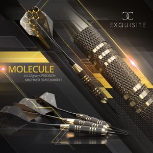 CC-Exquisite Steel Tip Darts Set – Professional Dartboard Accessories