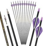 wolfman 31" Pure Carbon Arrows Archery Practice Hunting Arrows Spine 300 350 400 500 600 with Removable Tips Targeting Arrows for Compound & Recurve & Long Bow 6/12Pack (Purple-12pcs, Spine 350)