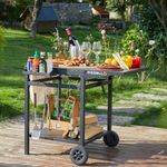 PIZZELLO Outdoor Grill Cart Double-Shelf Grill Table Foldable Tabletop Movable Food Prep Pizza Carts Outside Kitchen Pizza Oven Stand Trolley with 2 Wheels, Hooks