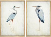 SIGNFORD Framed Canvas Print Wall Art Heron Bird Illustrations Modern Art Decorative Bohemian Colorful Chic for Living Room, Bedroom, Office - 16"x24"x2 NATURAL