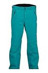 Spyder Men's Standard Mesa Gore-TEX Ski Pant, Scuba, Large