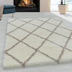 BPIL Shaggy Rug Trellis DESIGN Modern Rugs Living Room Extra Large Small Rectangular Size Soft Touch Thick Fluffy Pile Living Room Area Rugs Non Shedding (White, 160cm x 230cm (5.5ft x 7.5ft))