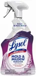 Lysol Mold & Mildew Remover spray w