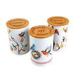 SiXsigma Sports 3PC Kitchen Canister Sugar Food Tea Coffee Storage Jars- Tea Coffee Sugar Canisters - Tea Coffee Sugar Set (3) - Tea and Coffee Containers Sets for Kitchen Counter (MT-B-TCS)