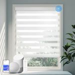 Motorized Zebra Blinds for Windows with Remote Control,Coolwinds Cordless Electric Roller Shades for Indoor, Smart Curtain Work with Alexa, Google Home, 20"-96" Wide