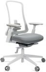 ProtoArc Ergonomic Office Chair - Flexer Nylon Breathable Mesh Chair (Flexer Pro-White)