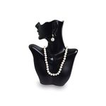 Mooca Necklace & Earring Display Jewelry Displays for Shows Earring Display Stands Necklace Display Jewelry Mannequin Display Jewelry Bust Display, Black