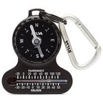 Compass Thermometers