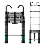 Plantex 2.9m (9.5 ft.) Aluminium Telescopic Ladder/10-Steps Portable Ladder with Removable Hooks/Foldable Multipurpose Collapsible Ladder for Home & Outdoor Use/2 Years of Warranty - (Green)