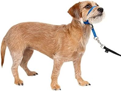 PetSafe Gentle Leader No-Pull Dog Headcollar - The Ultimate Solution to Pulling - Redirects Your Dog's Pulling for Easier Walks - Helps You Regain Control - Small, Royal Blue