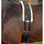 Intrepid International Nylon-Fleece Training Horse Surcingle