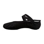 CafePress Ballet Shoes