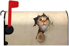 Dacawin Magnetic Mailbox Cover Cute Kitty Cat Decorative MailWraps Mailbox Post Box Cover Standard Size for Garden Yard 21 * 18 Inch